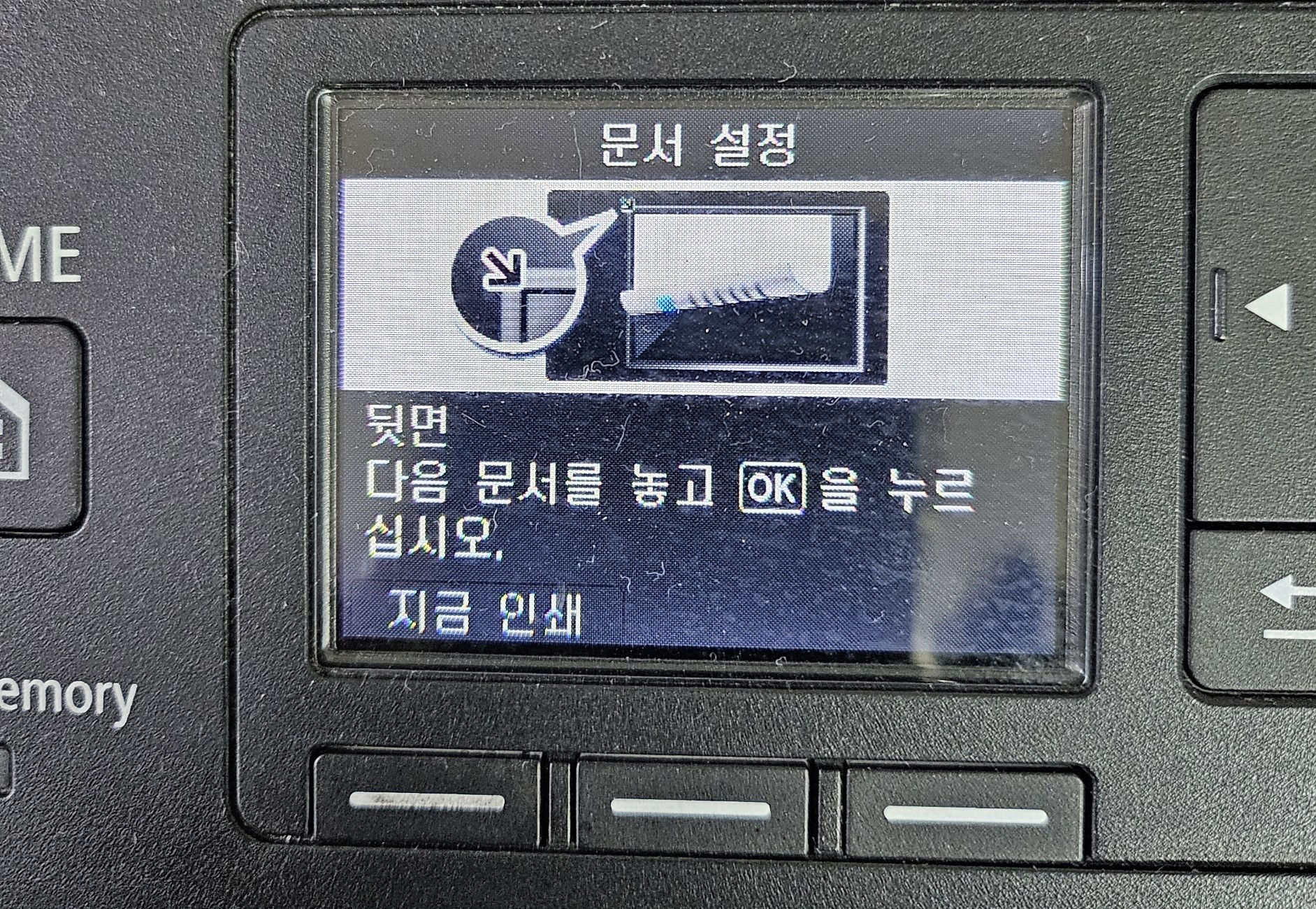 45.jpg